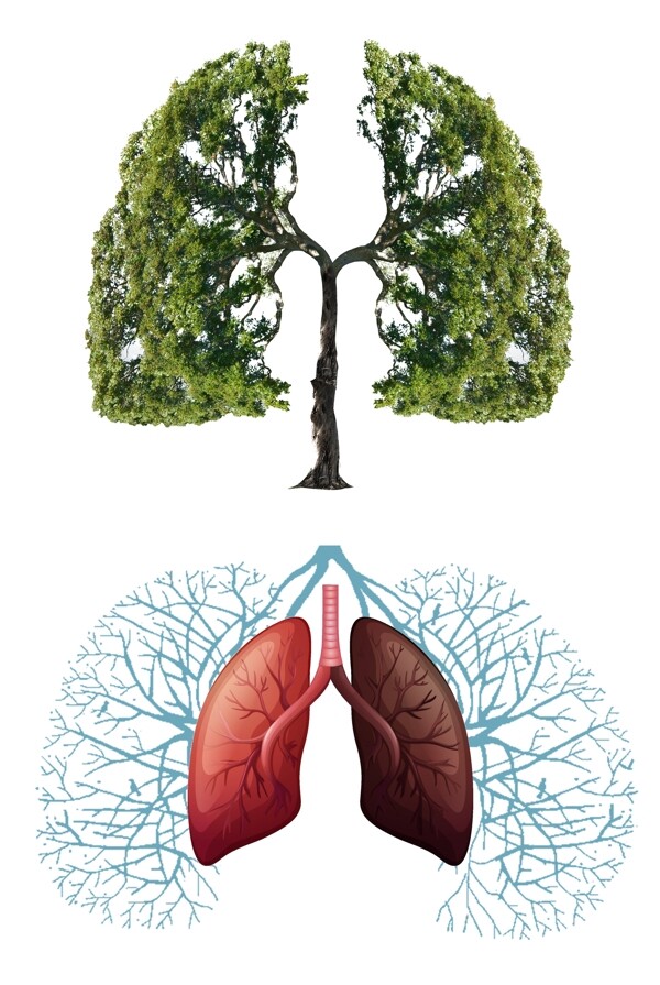绿色树木清新肺部肺部插画