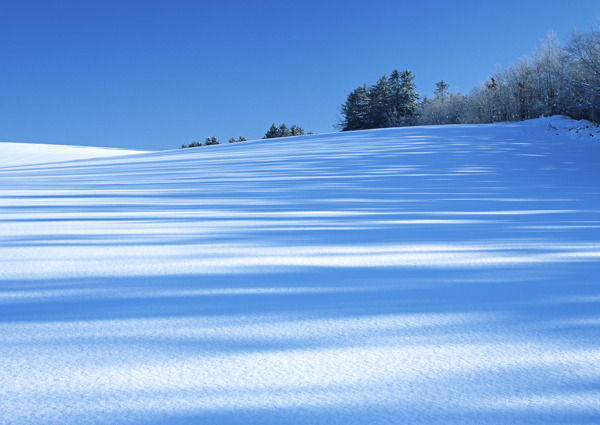 雪地图片