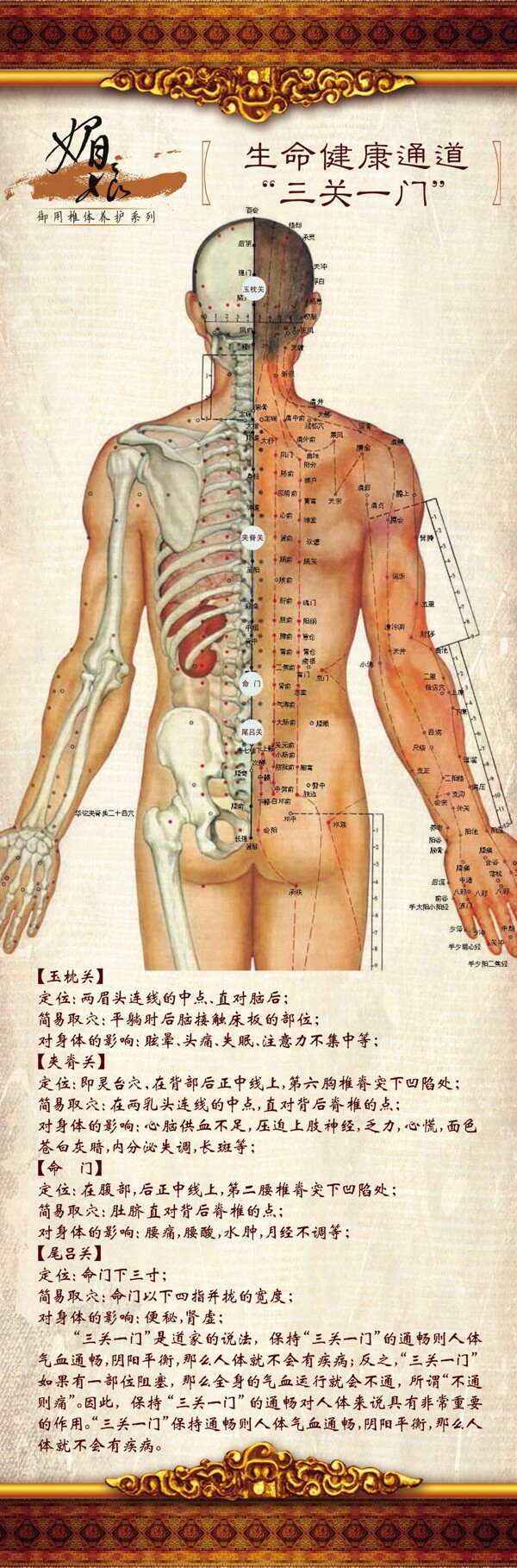 脊椎养生图图片