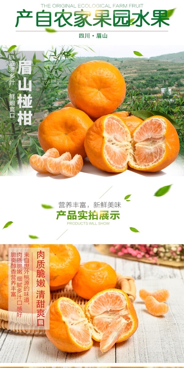 电商淘宝水果生鲜椪柑详情页柑橘