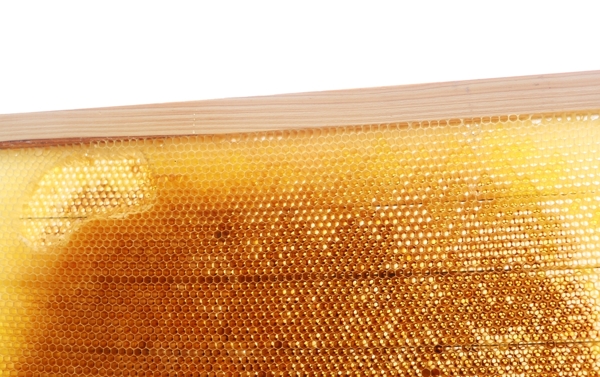 蜂脾养蜂场图片