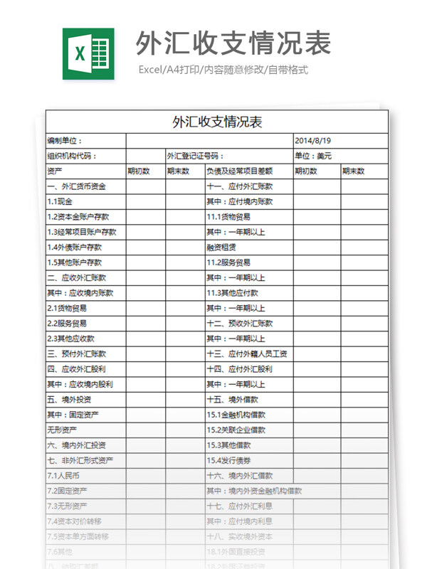 外汇收支情况表excel表格模板