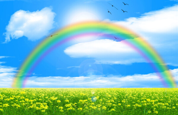 田园上的彩虹图片