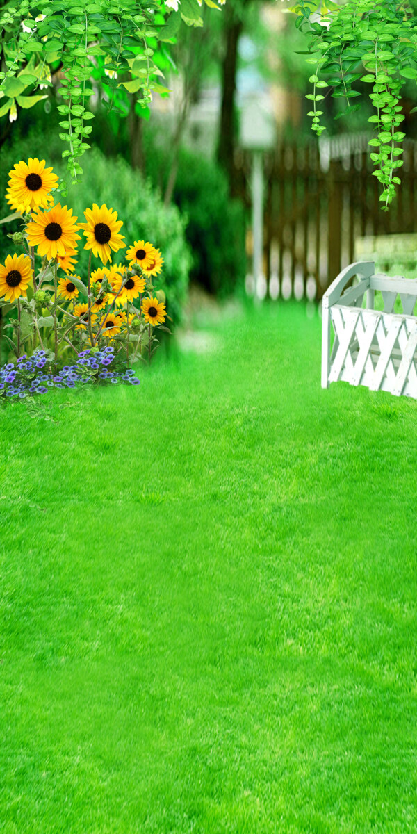 绿叶草地与向日葵影楼摄影背景图片