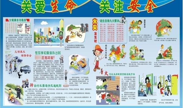 幼儿园关爱生命关注安全图片