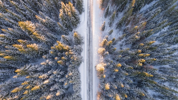 雪景图片