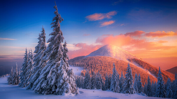 雪景景物