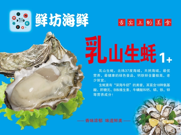 生蚝海蛎牡蛎海鲜蓝色图片