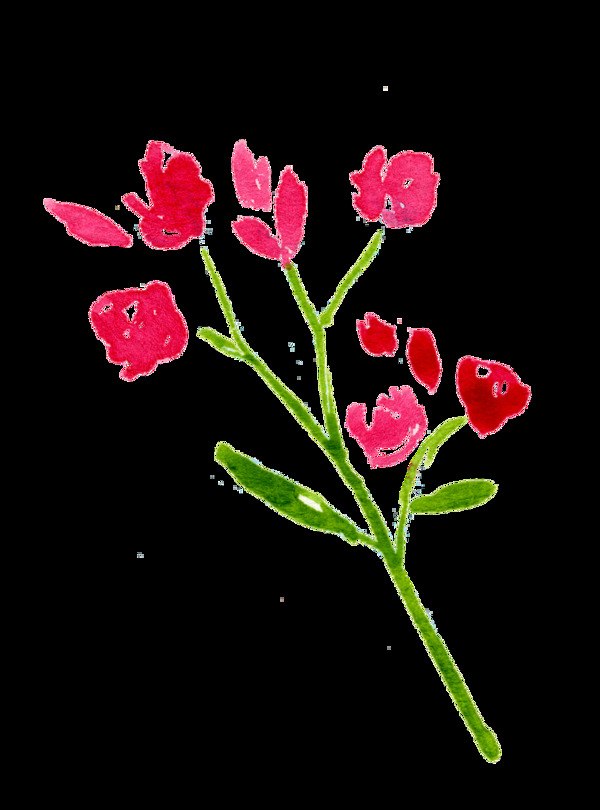 红颜花叶卡通透明素材