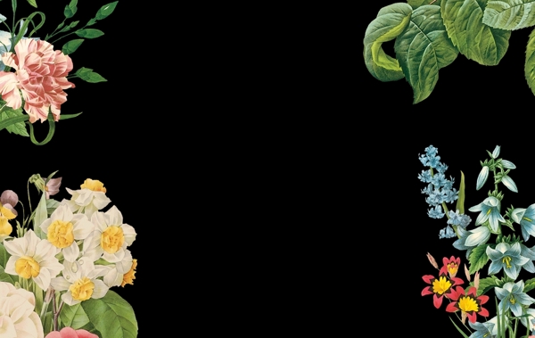 现代简约花朵植物海报