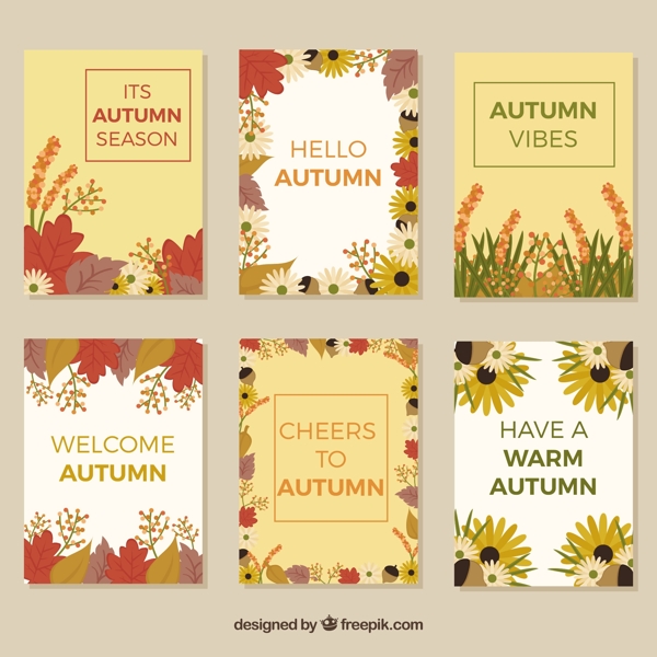 带花的秋季卡片收藏