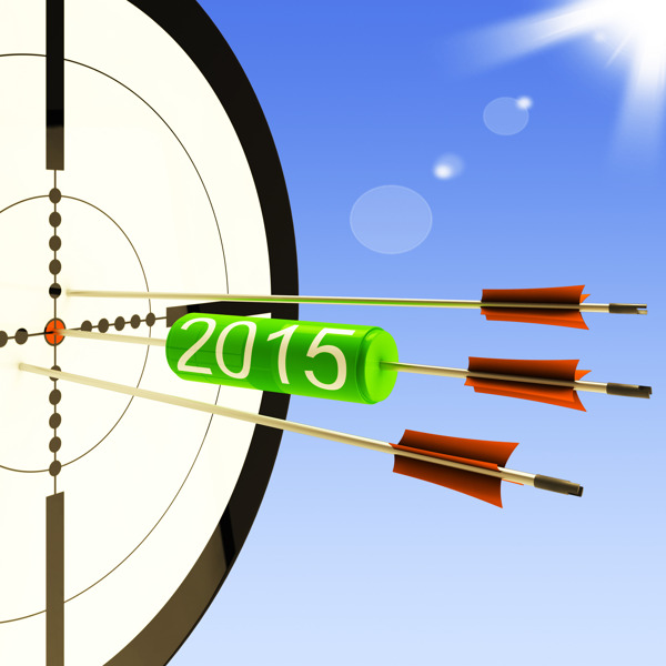 2015个目标显示业务计划的预测