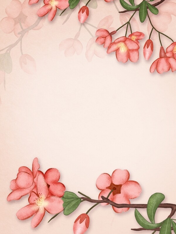 粉色浪漫花卉植物插画背景