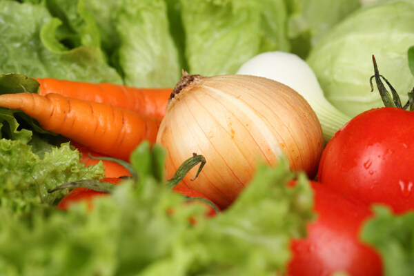 洋葱西红柿卷心菜包菜胡萝卜生菜图片