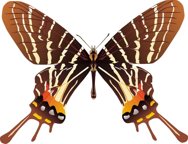 印花矢量图动物蝴蝶色彩自然免费素材