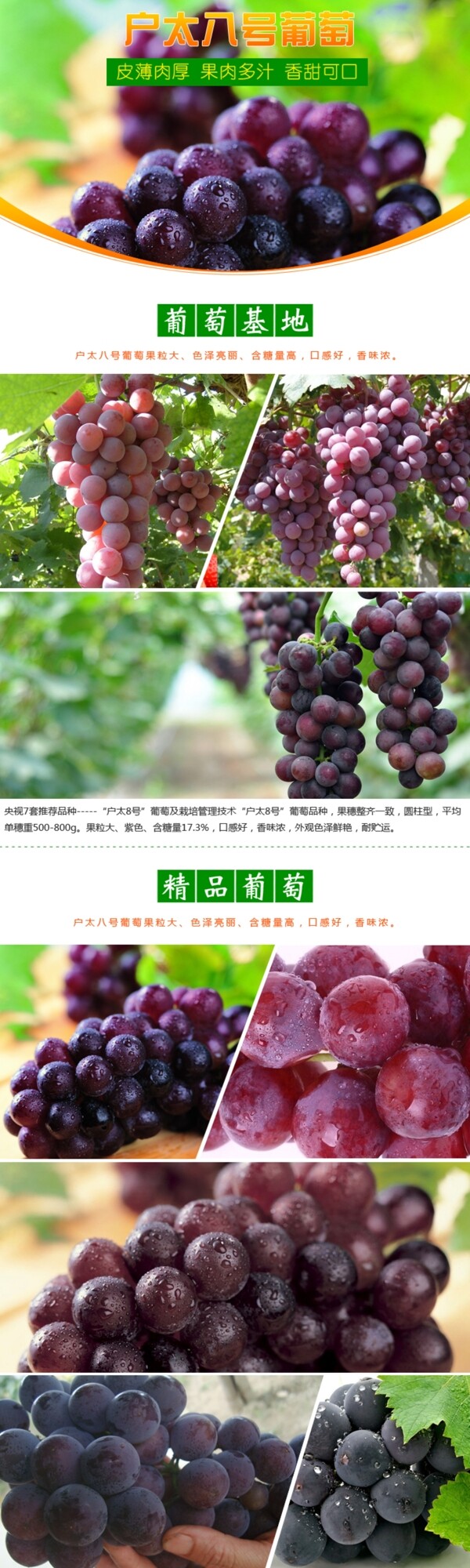 淘宝水果葡萄详情设计图片