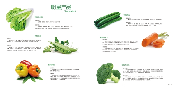 有机蔬菜画册
