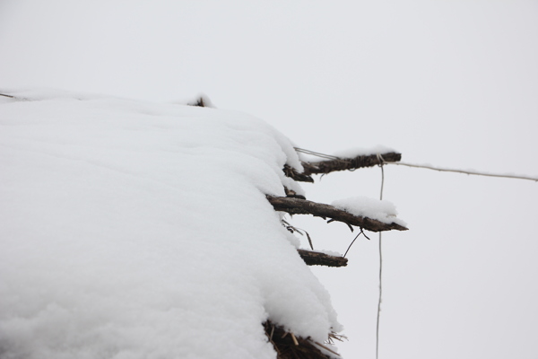 雪景图片