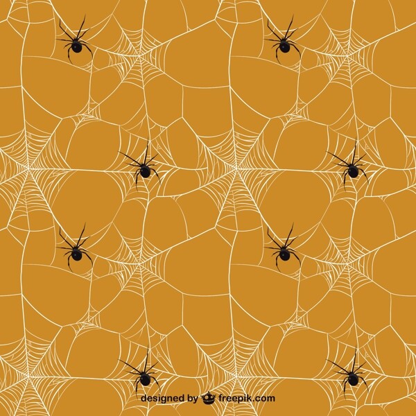 蜘蛛网模式