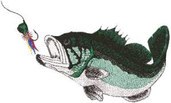 绣花色彩动物鱼绿色免费素材