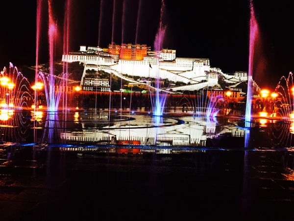 布达拉宫喷泉夜景图片