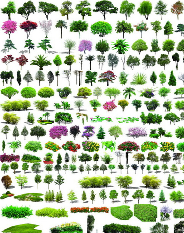 150种树木psd素材园林图片