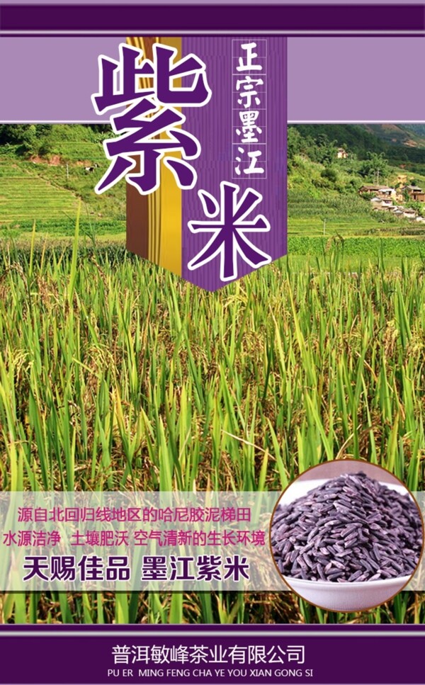 墨江紫米包装设计图