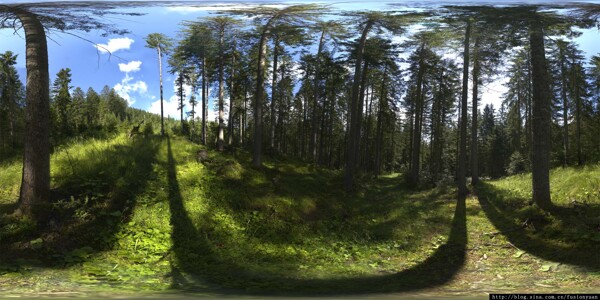 3Dmax全景贴图森林