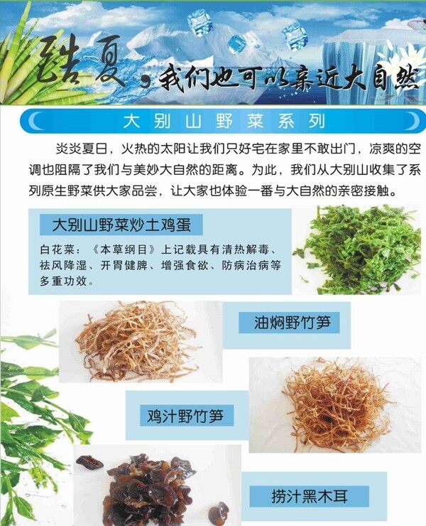 酷夏野生菜菜品推介图片