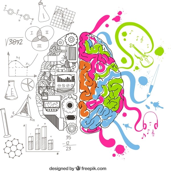 分析和创造性的大脑