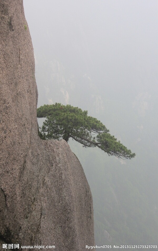 黄山图片