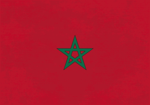 垃圾摩洛哥国旗免费矢量背景