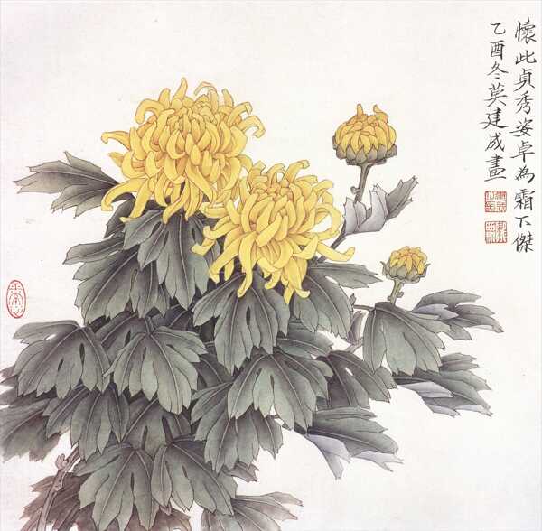 菊花工笔画