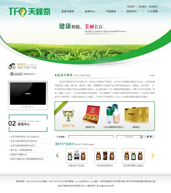 天蜂奇中文商业网站模板图片