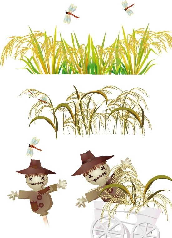 水稻矢量图图片