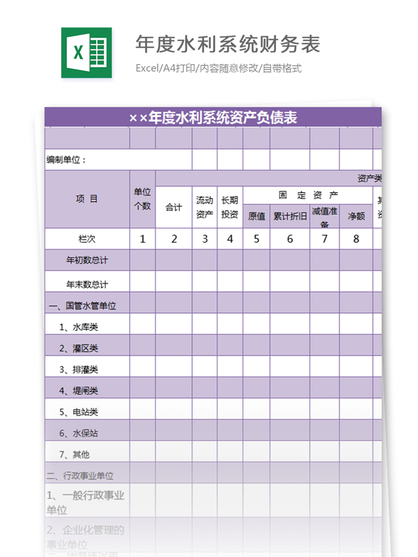 年度水利系统财务表excel模板