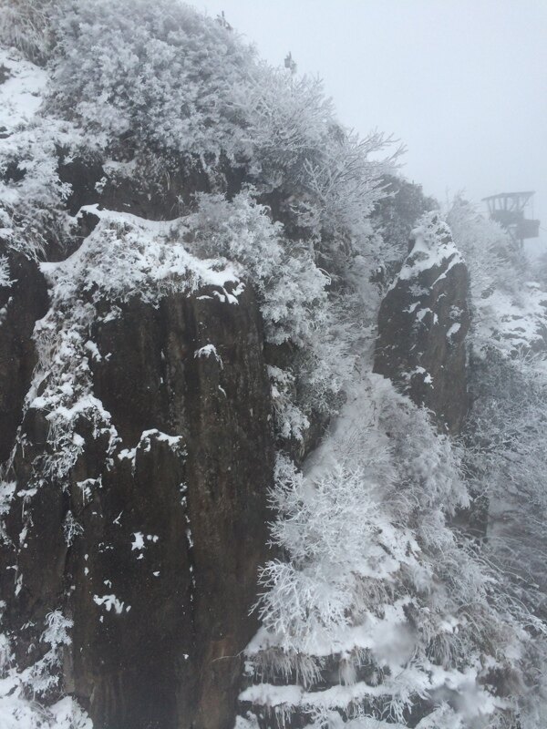 峨眉山的雪图片