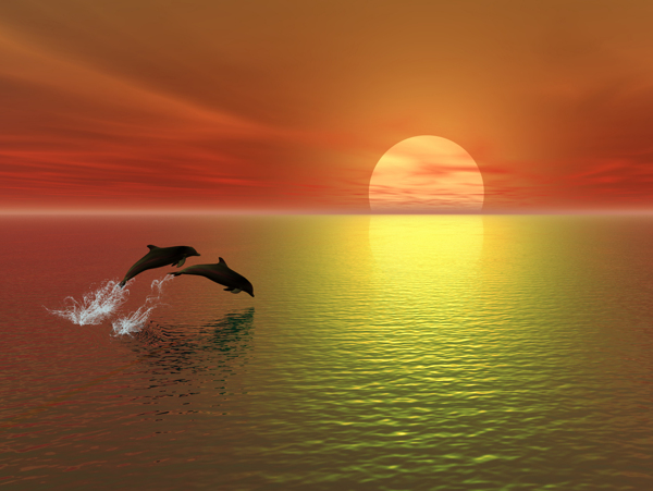 朝阳大海风景图片