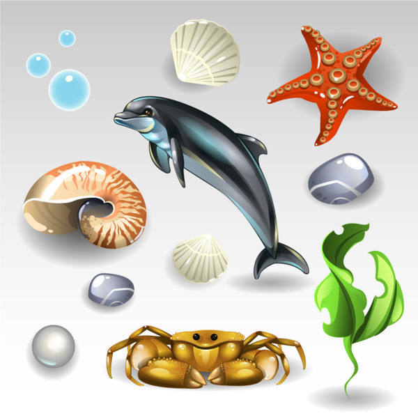 闪亮贝壳和海豚海星海带设计矢量素材图集
