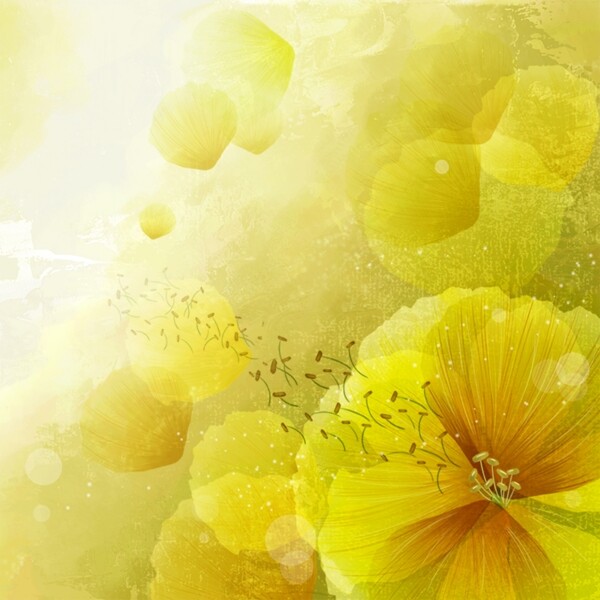 花朵花瓣渐变黄色大自然清新高清主图