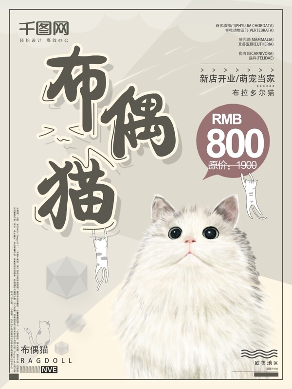 宠物当家布偶猫折扣海报设计