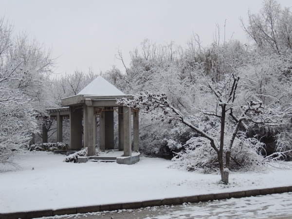 哈尔滨学院雪景图片