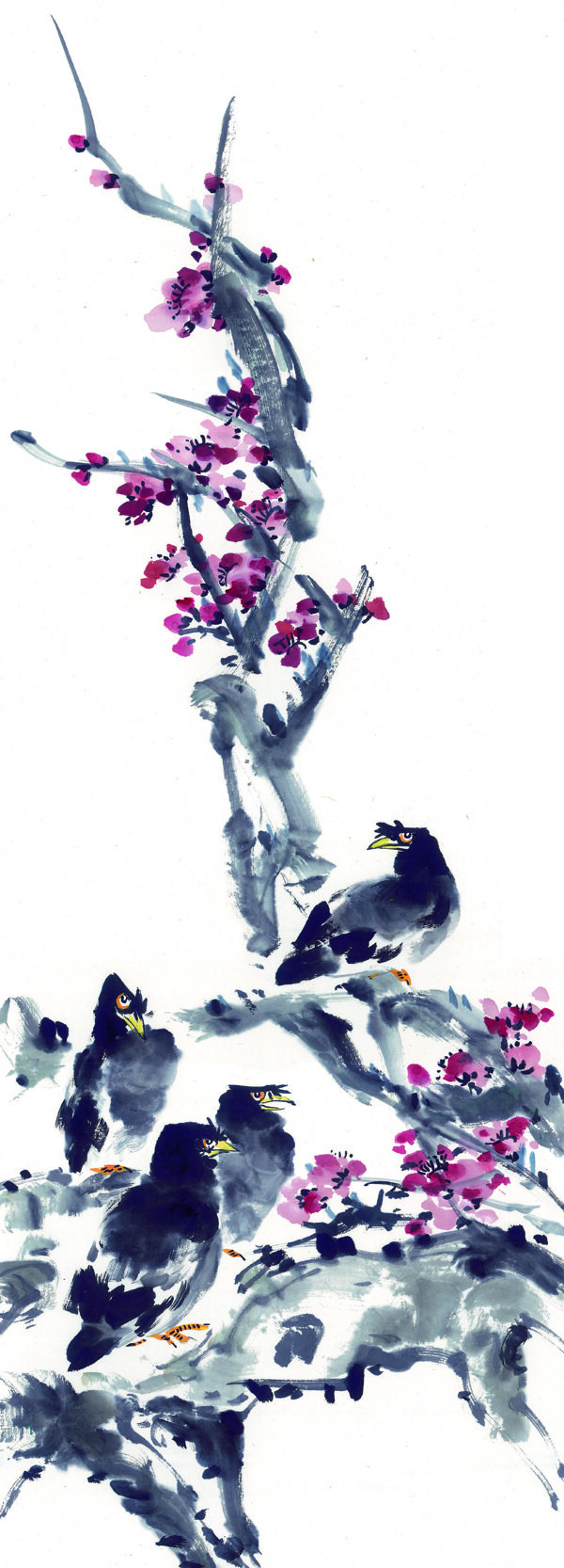站在梅花上的乌鸦图片