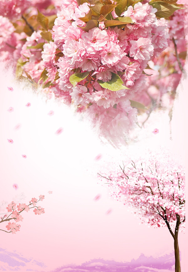 粉色浪漫樱花背景
