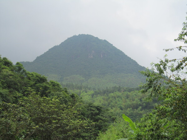 凤凰山万峰林场图片