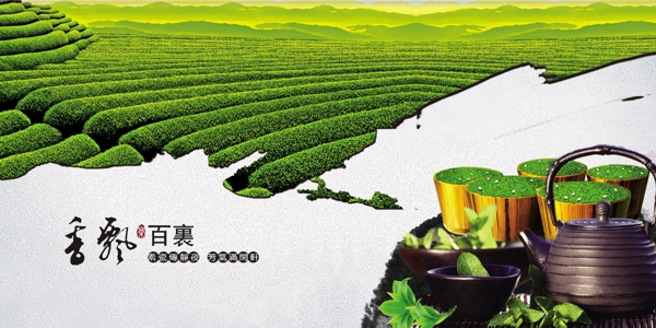 茶叶海报设计