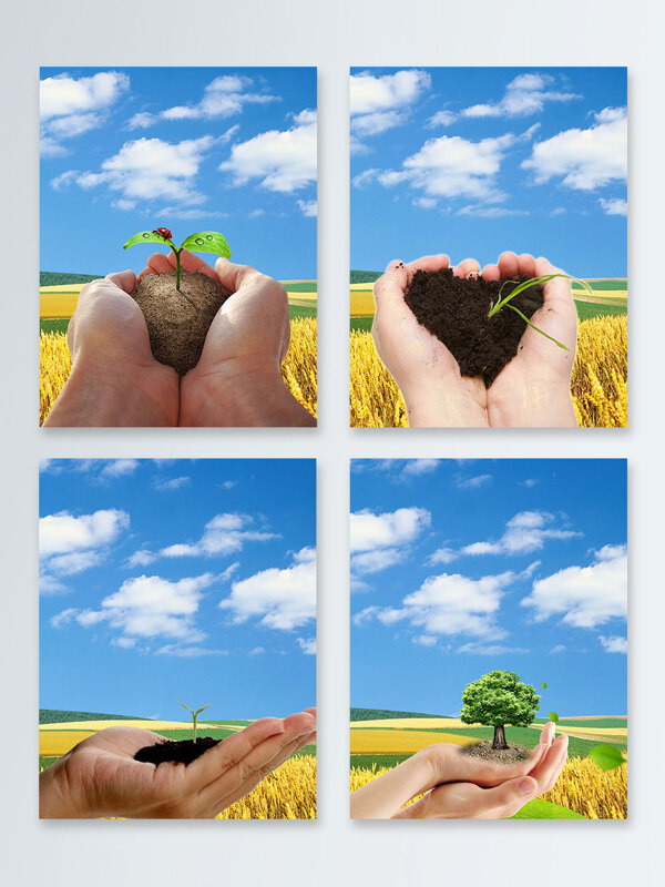 保护环境手捧小苗植树节广告背景