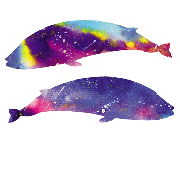 彩色星空海豚鲸鱼矢量图