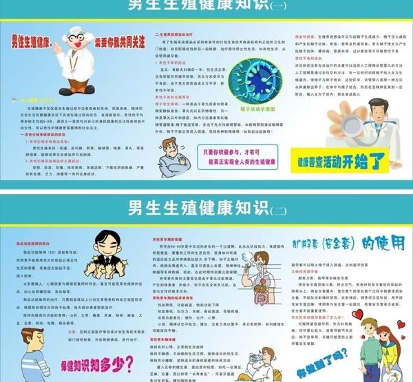 男性生殖健康图片