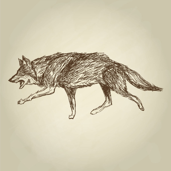 狼手绘设计矢量素材